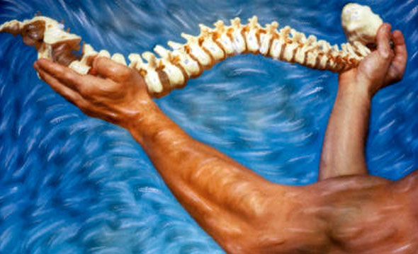 The Importance of the Neuro-Spinal System